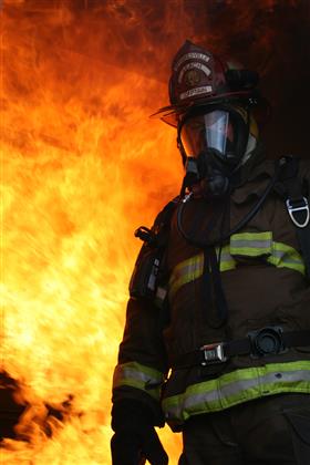 Brown4_280x420_thumb