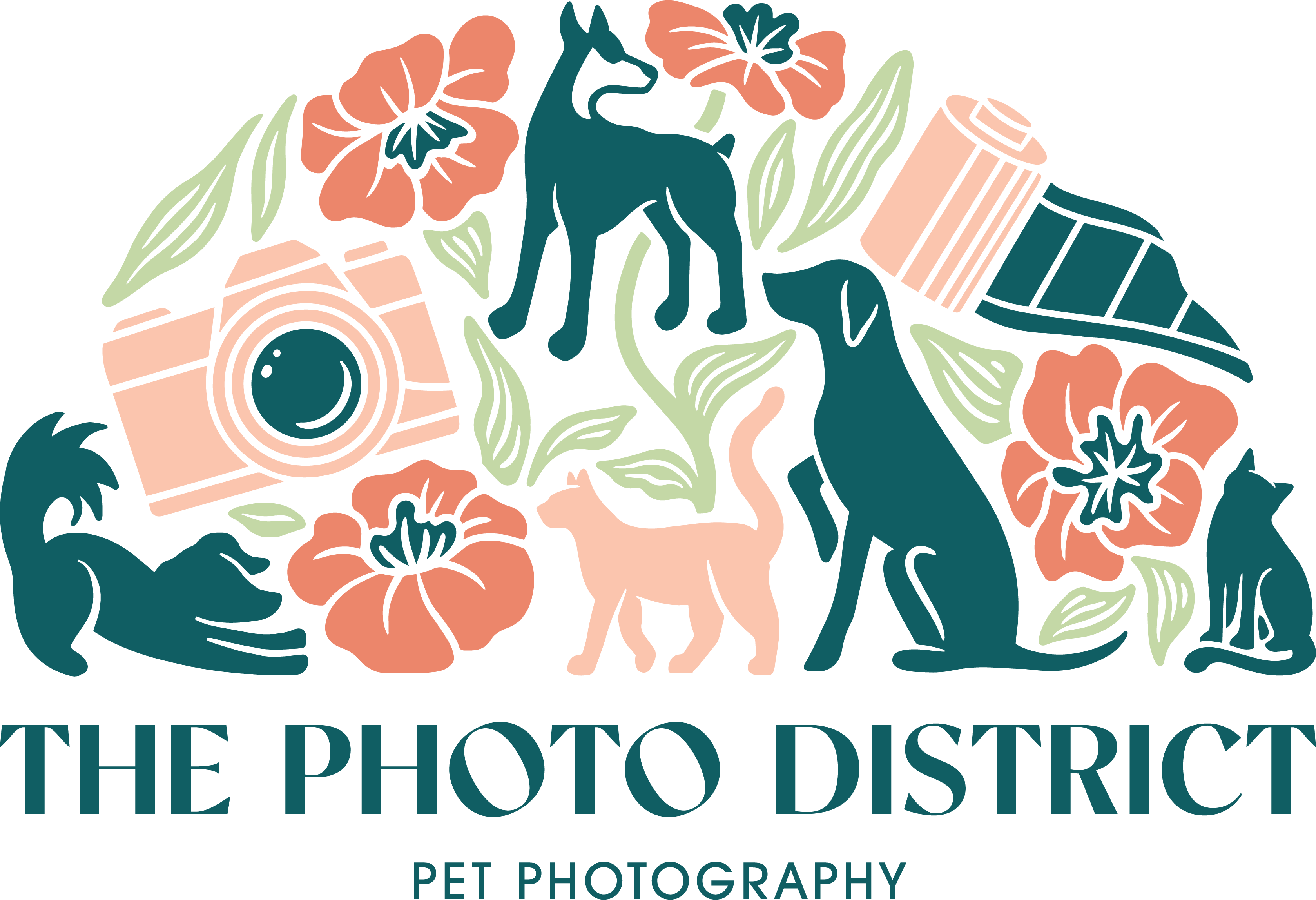 The Photo District logo