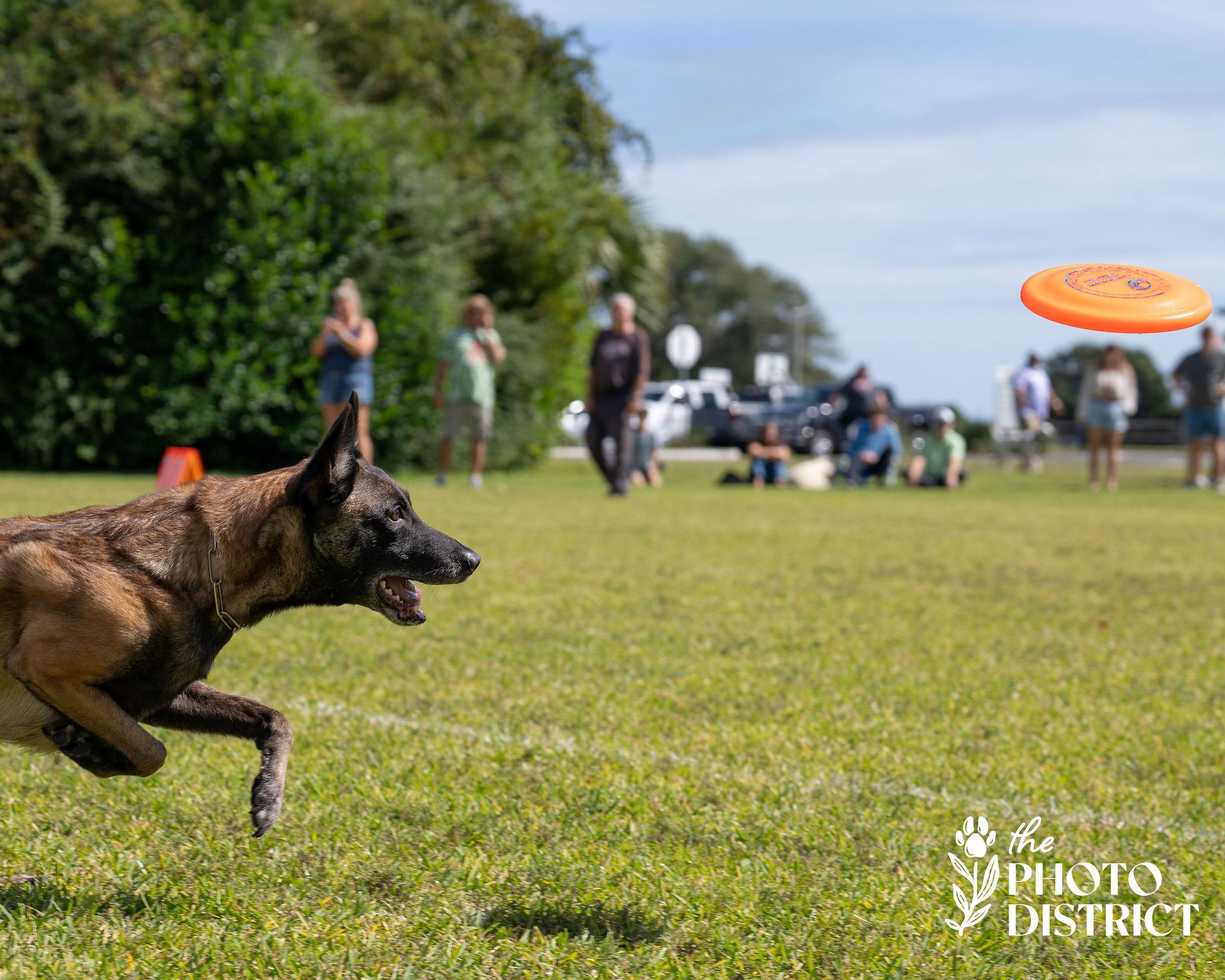 2025 Personality Winner Fury Parker