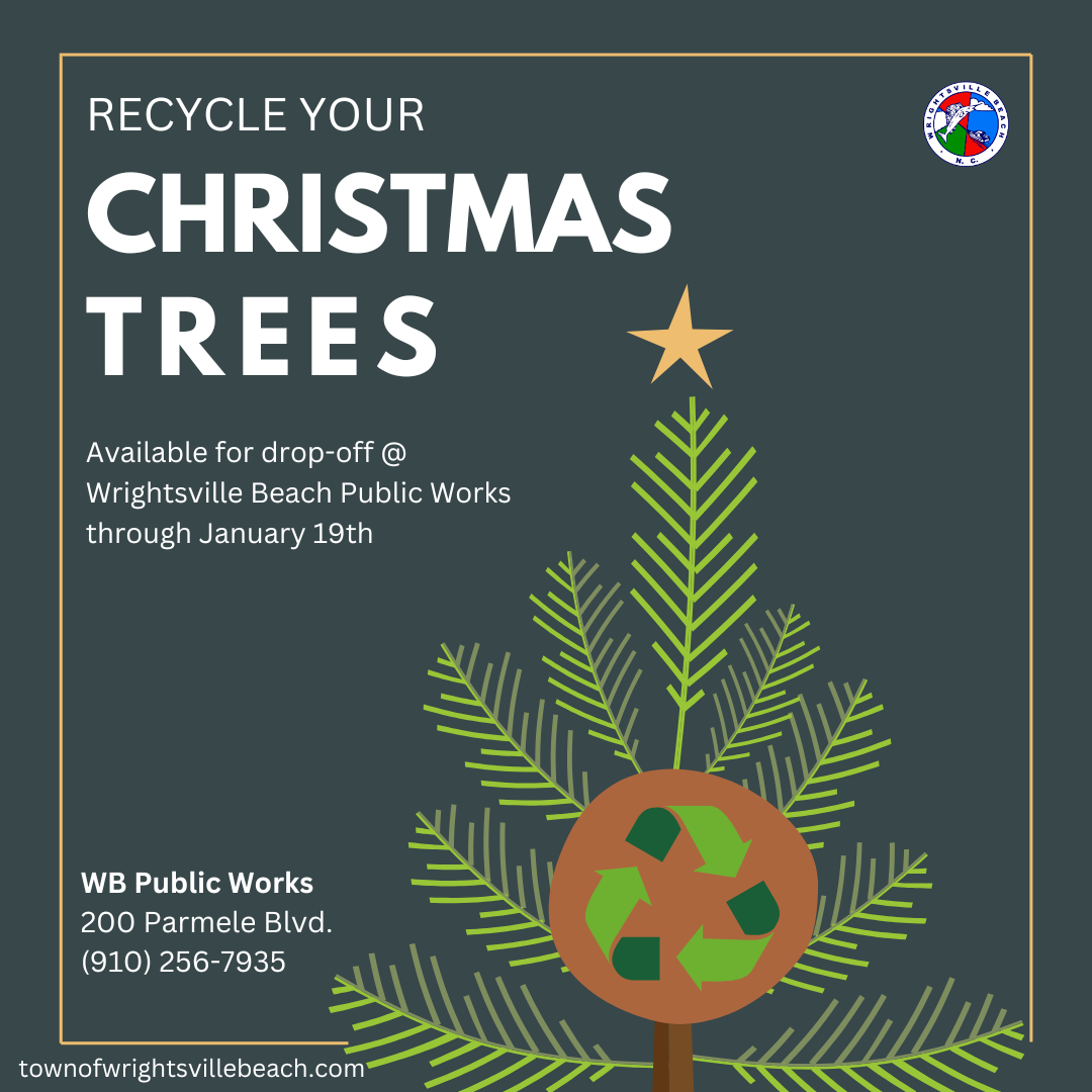 Tree Recycling 2026